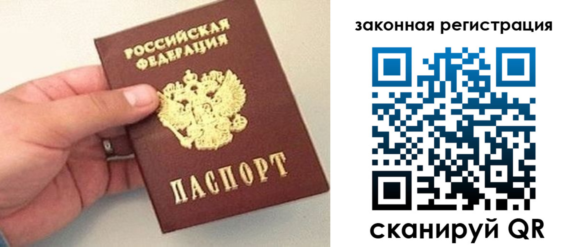 прописка для школы в Городце